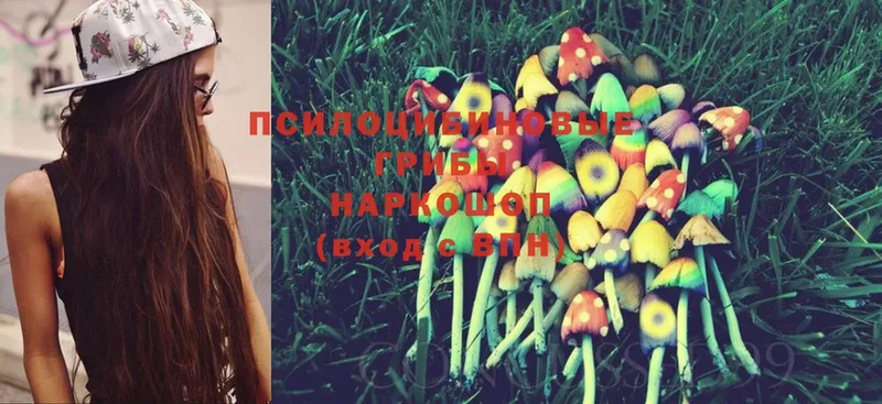 Псилоцибиновые грибы MAGIC MUSHROOMS  Алдан 